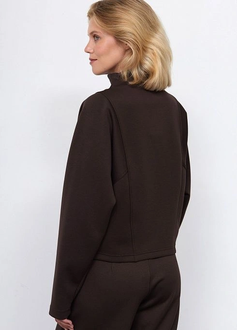 Джемпер жен. 311120.6_313.1000N Темно-коричневый  (4)