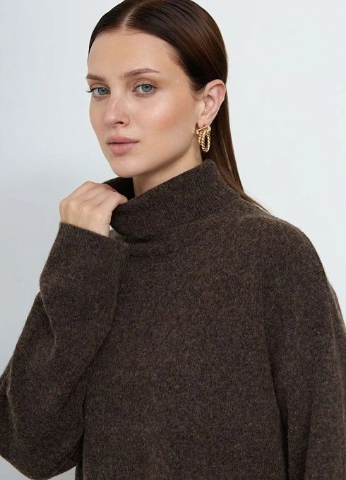 Джемпер жен. 317005.42303.1100M Коричневый  (4)